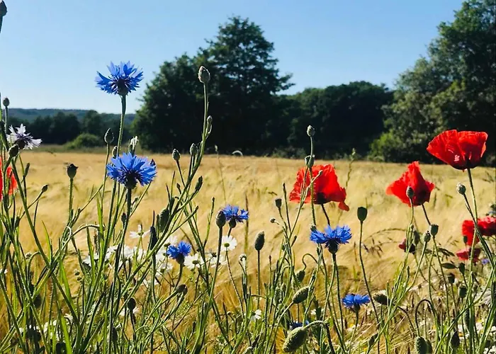 Uns Luetje Hus - * Sellin (Rugen)